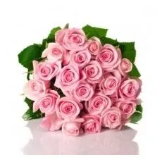 20 Pink Roses Bunch With Chocolates