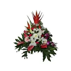 Sunny - warm tropical Balinese arrangement with vibrant seasonal flowers