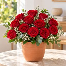 12 red roses