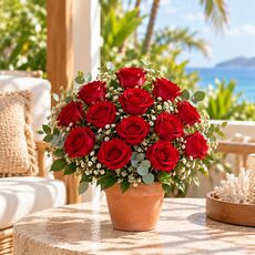 12 red roses in a pot