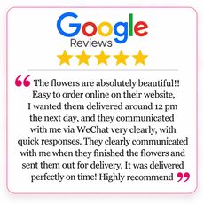 Bali review