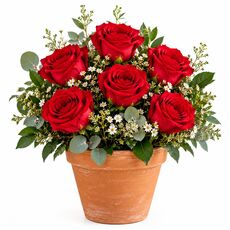 6 red roses in a pot Bali