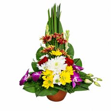bali flowers