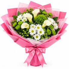 pretty white flowers