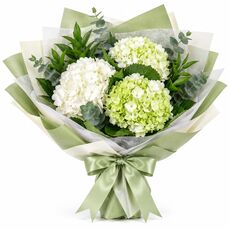 Hydrangea bunch