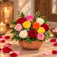 12 mixed roses in a pot