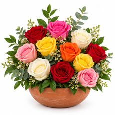 12 mixed roses in a pot