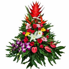 Bali flowers