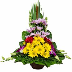 bali flowers