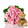20 Pink Rose Bunch And Teddy