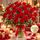 24 red roses in a vase