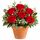 6 red roses in a pot Bali