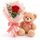 rose and teddt