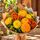 Yellow and orange flowers