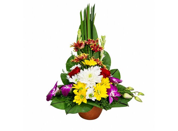 bali flowers