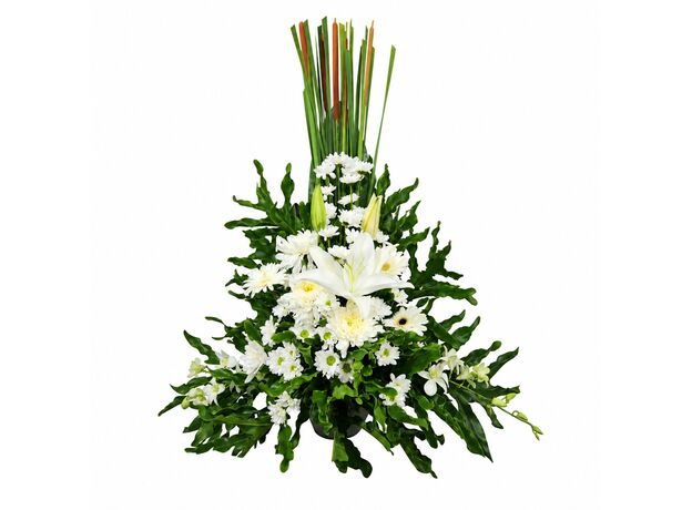 Bali flowers