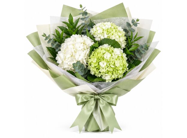 Hydrangea bunch