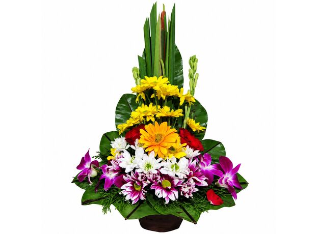bali flowers
