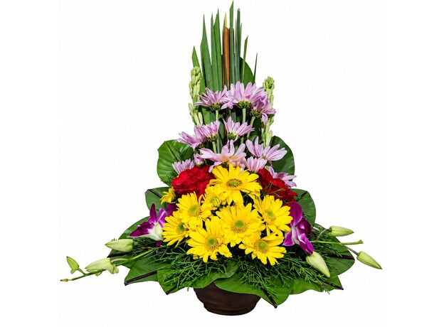 bali flowers